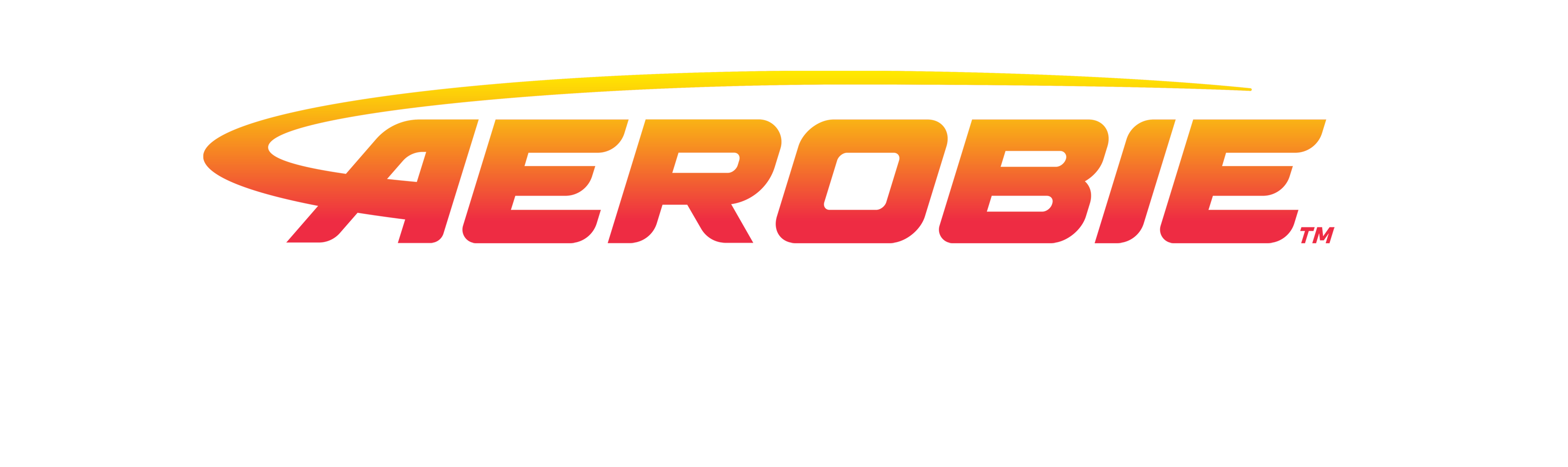 aerobie wholesale logo